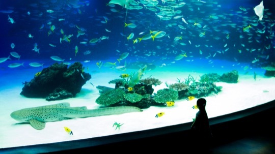 Photo of Sunshine Aquarium, Tokyo, Japan