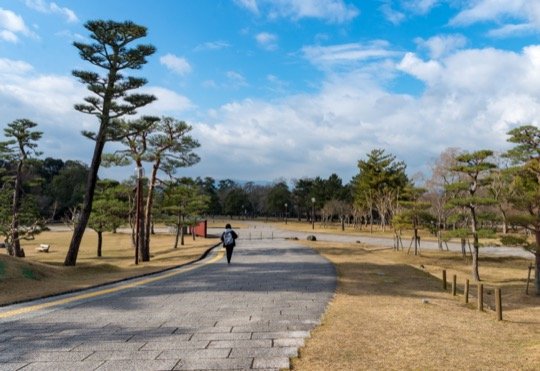 Photo of Nara Park, Nara, Japan