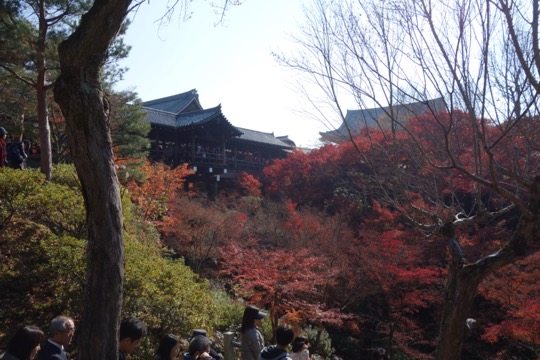 Photo of Tofukuji Temple, Kyoto, Japan