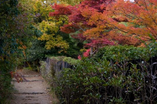 Photo of Kameyama Park, Kyoto, Japan