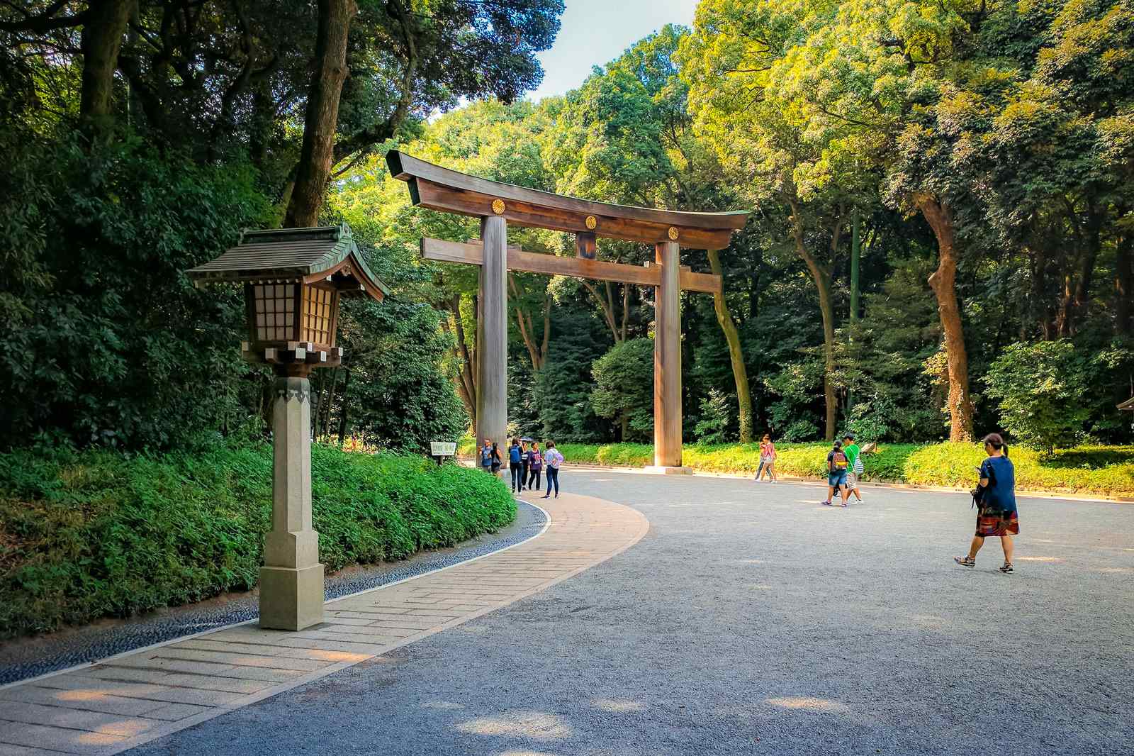 Photo of Meiji Jingu Shrine, Japan (Meiji Jingu Approach by Aleister Kelman)