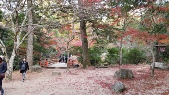 Photo of Momijidani Park, Miyajima, Japan