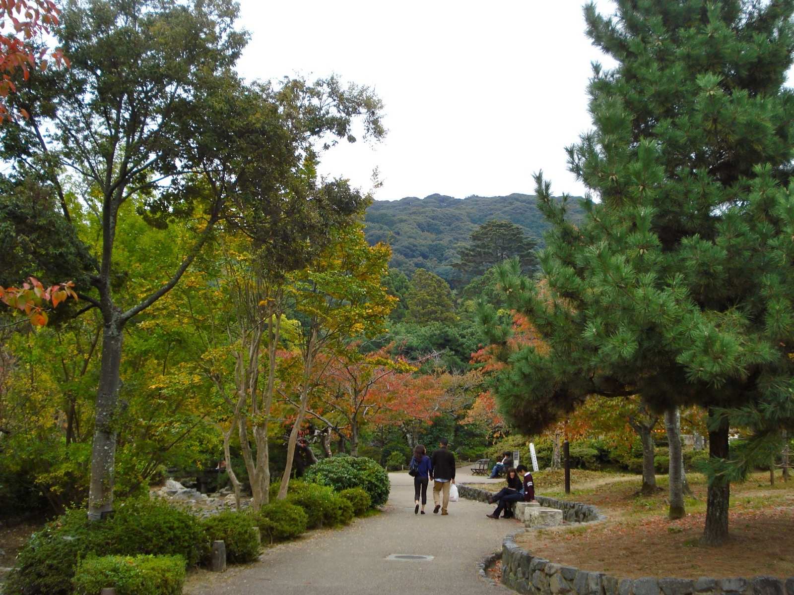 Photo of Maruyama Park, Japan (円山公園 (Maruyama Park) by Carles Tomás Martí)