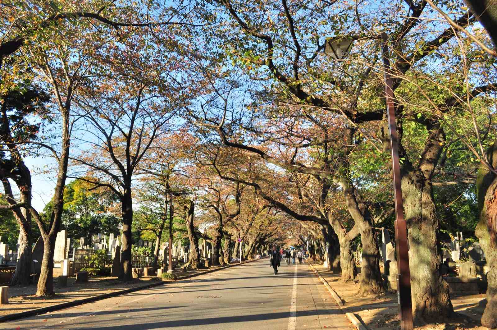 Photo of Yanaka Cemetery, Japan (Tokyo - Yanaka 050 - Yanaka Cemetery by Joe Mabel)