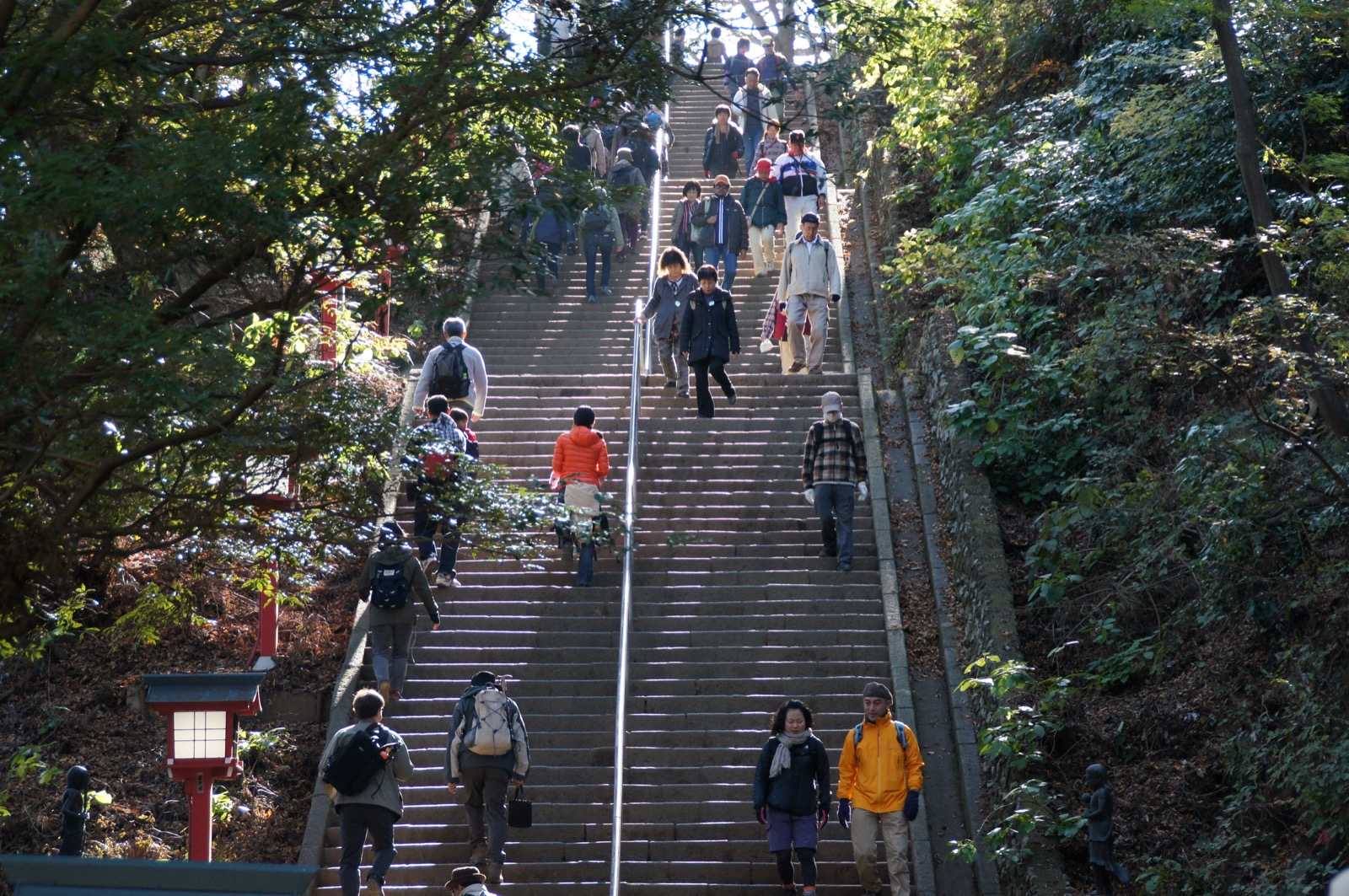 Photo of Takaosan Hiking Trail 1, Japan (男坂 (高尾山1号路) by ume-y)