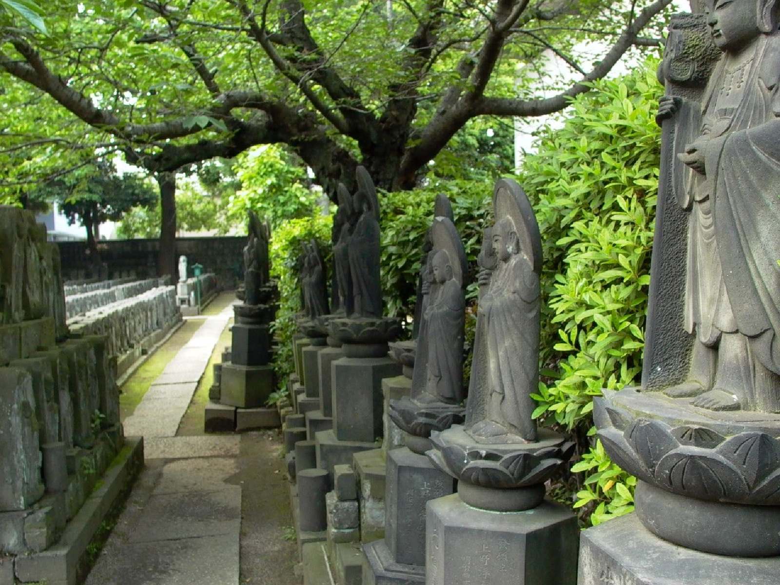 Photo of Jyomyoin Temple, Japan (浄名院 八万四千体地蔵尊 by kaoruokumura)