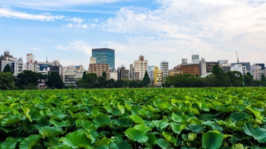 Photo of Ueno Park, Tokyo, Japan