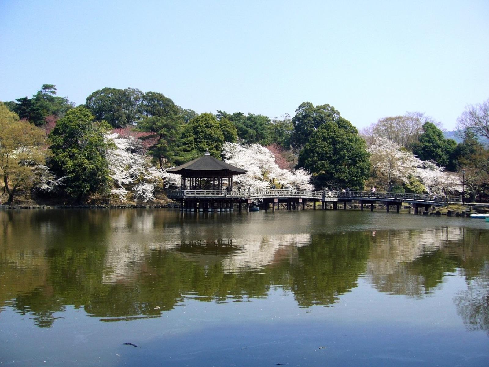 Photo of Nara Park, Japan (ukimidou (nara park) by jun1)